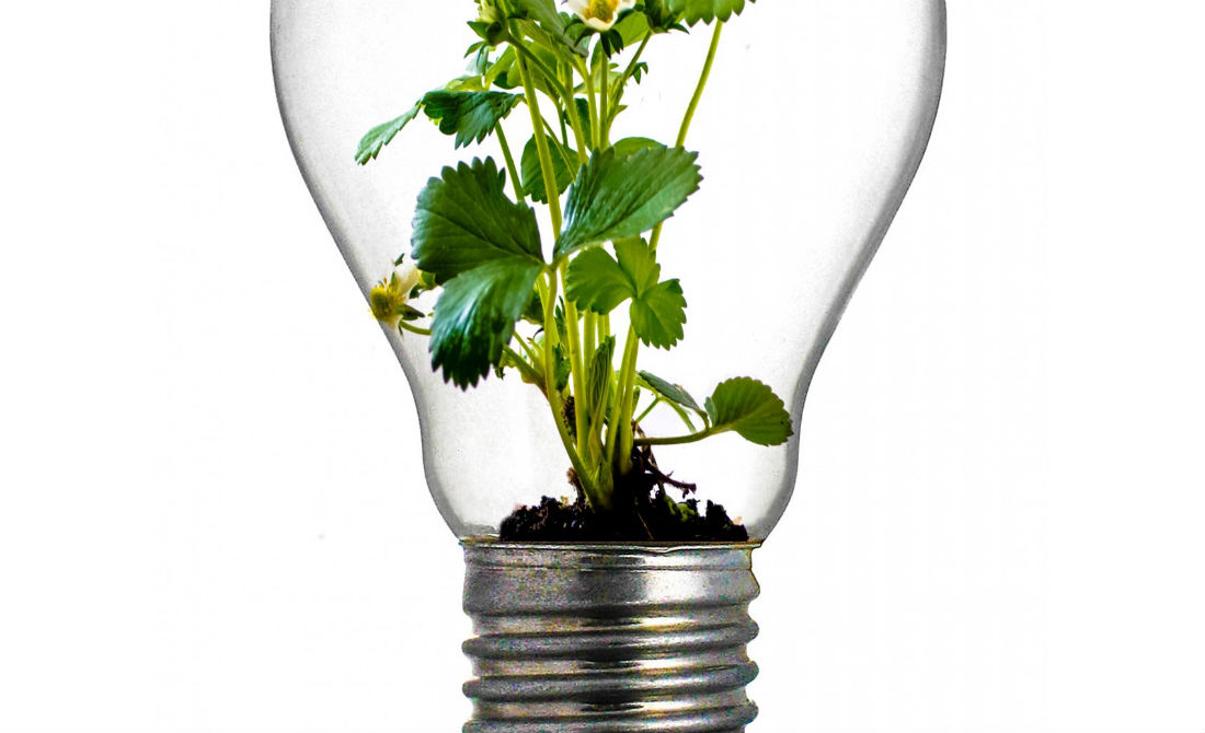 Go Green in your supply chain