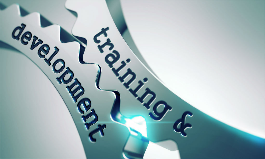 Rise in the Training Budget