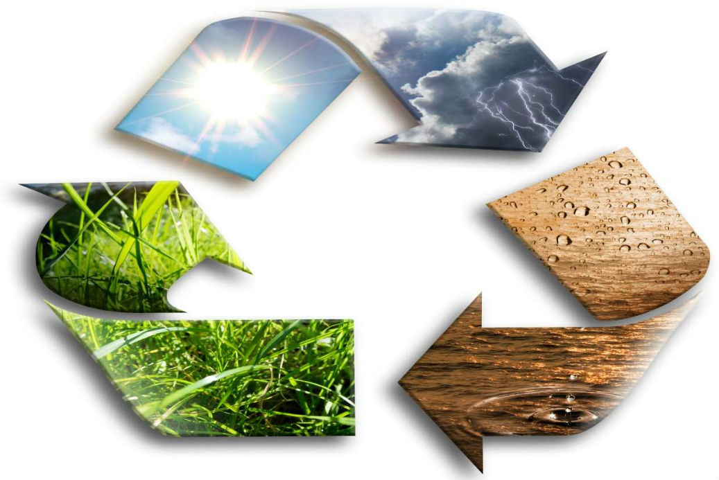 Sustainable Procurement